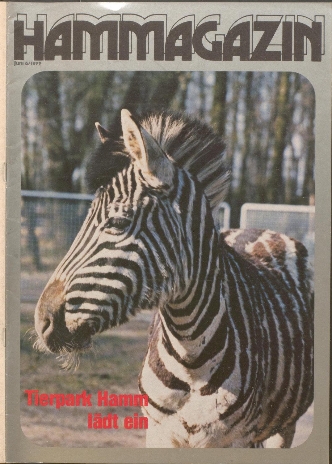 Ausgabe 06|1977