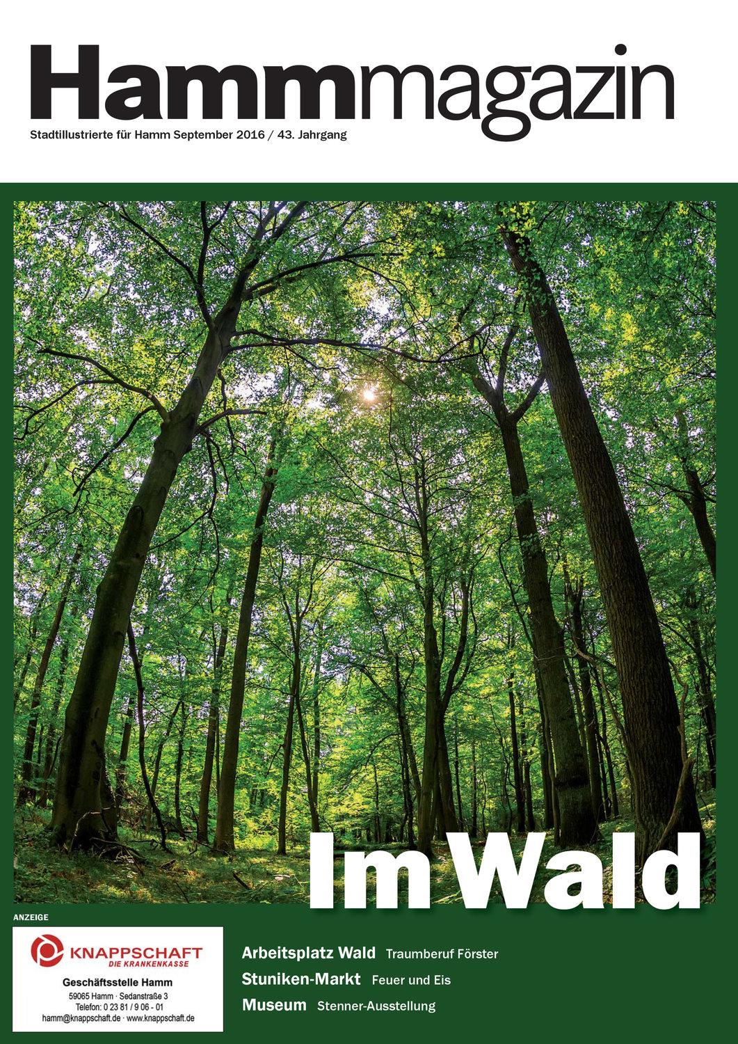 Ausgabe 09|2016