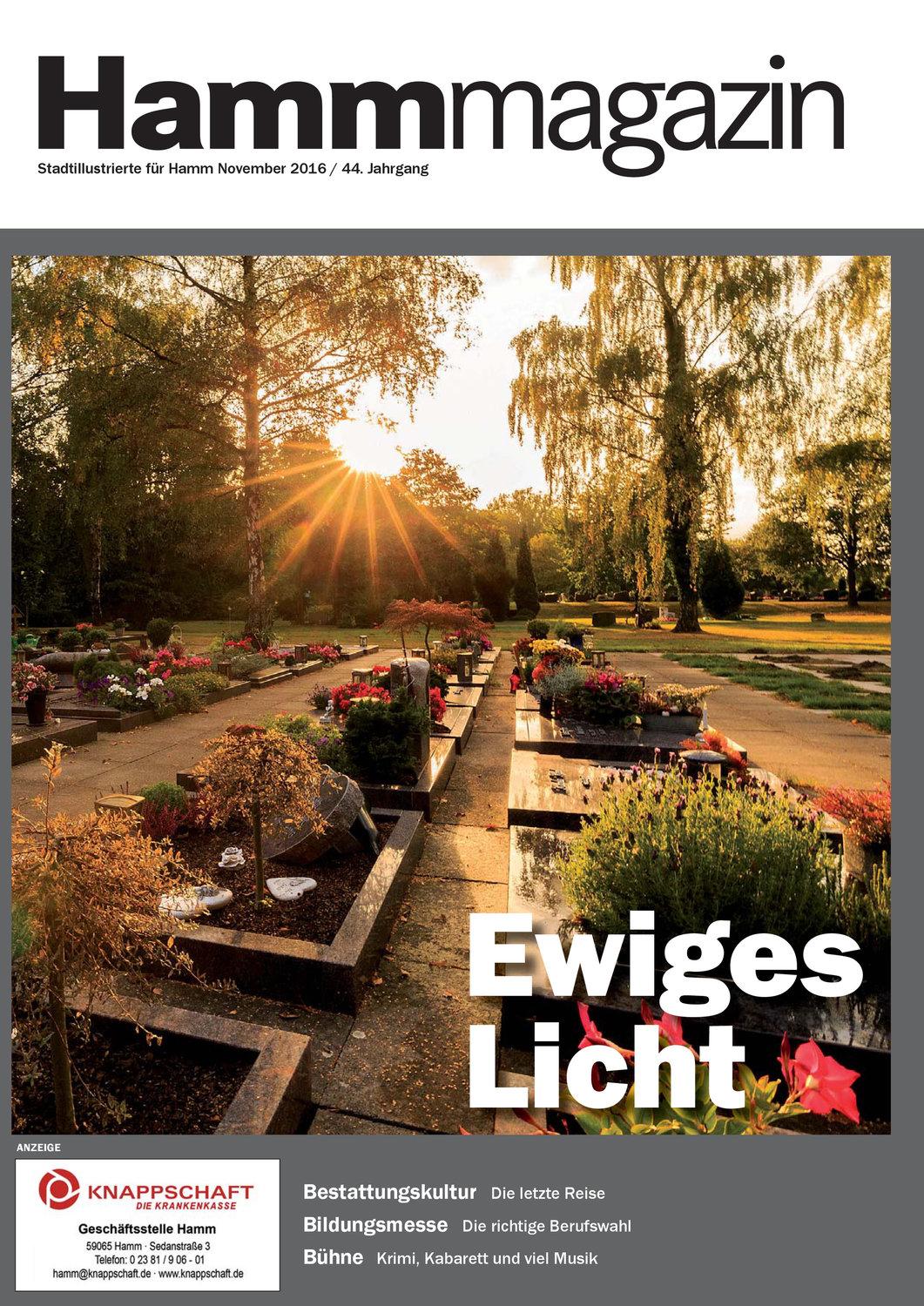 Ausgabe 11|2016