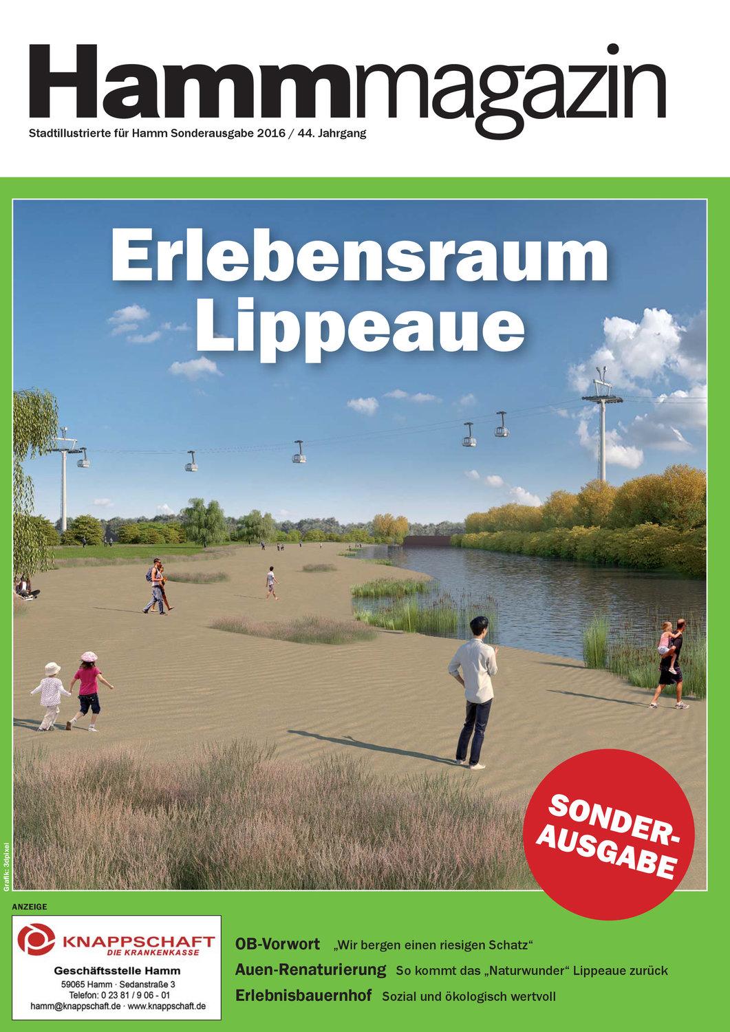 Ausgabe 12|2016